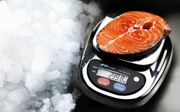 HL-WP Waterproof Catering Bench Scales